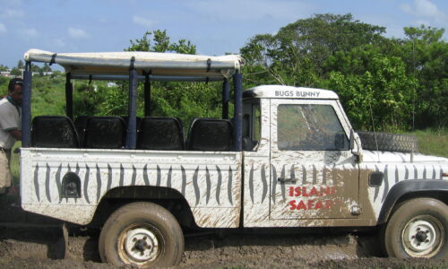 Barbados Safari_1 Safari tours in Barbados