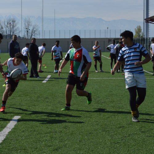 Abu Dhabi Harlequins