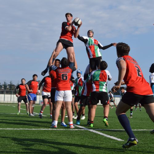 Abu Dhabi Harlequins