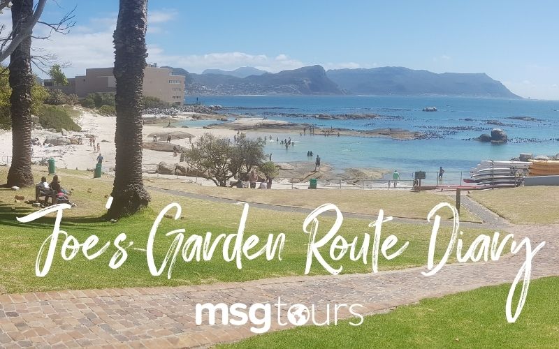Inspection Visit to South Africa: Joe’s Garden Route Diary
