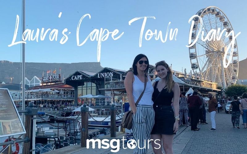 Inspection Visit to South Africa: Laura’s Cape Town Diary