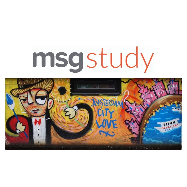 New School Study Trips from MSG Study