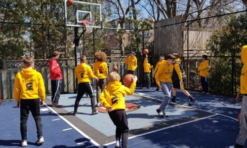 Basketball in local park
