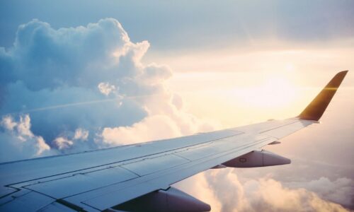 Plane wing
