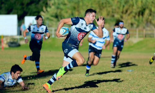 Marbella Rugby Festival players image